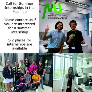 Call for Summer Internships in the Madl lab